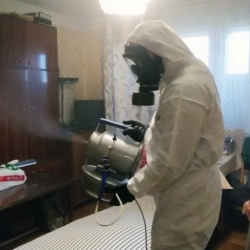 Дезинфекция от клопов в Кондрово